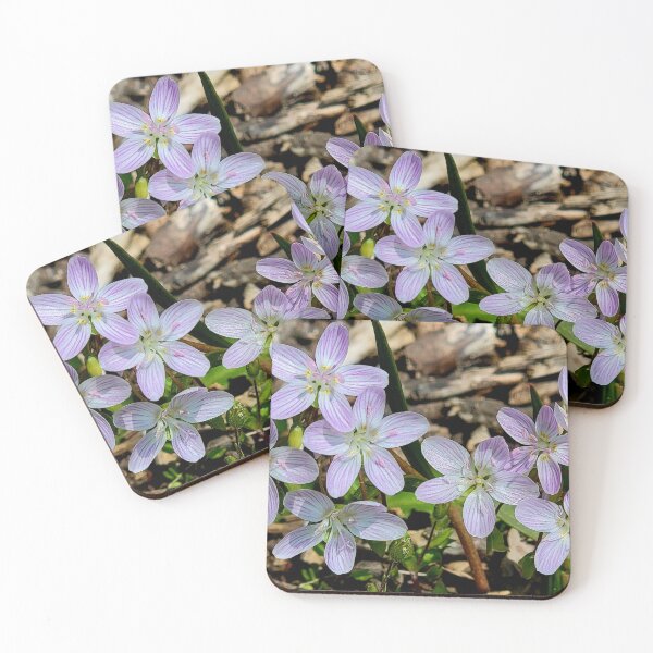 Item preview, Spring Glory in Sunshine designed and sold by Rebecca Jane.