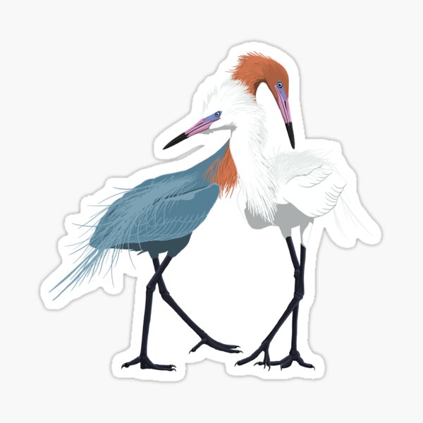 Item preview, Reddish Egret designed and sold by BennuBirdy.
