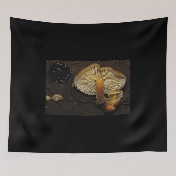 Item preview, Flammulina velutipes (velvet foot mushroom) designed and sold by SDym Photography.