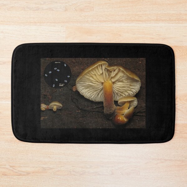 Item preview, Flammulina velutipes (velvet foot mushroom) designed and sold by SDym Photography.