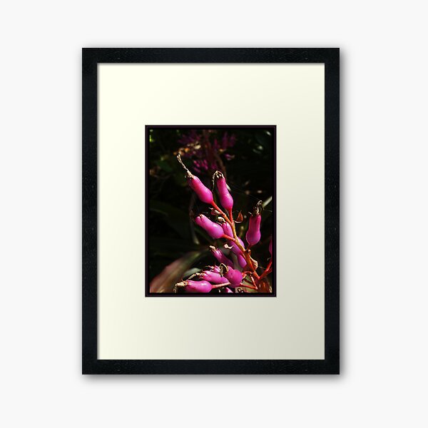 Sizzlin' Framed Art Print