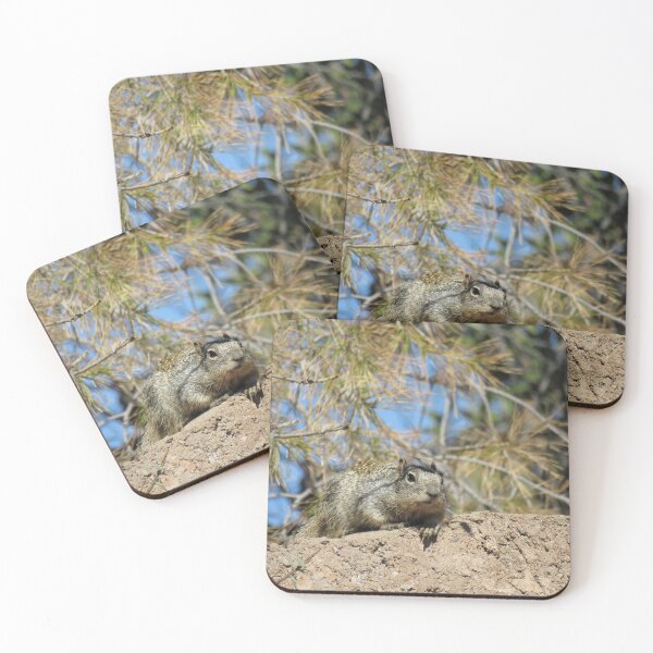 Item preview, Rock squirrel (Otospermophilus variegatus) in Arizona, USA designed and sold by SDym Photography.