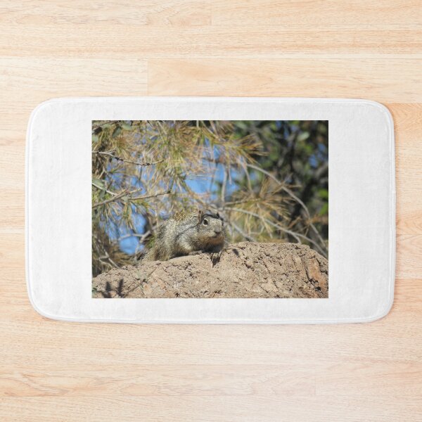 Item preview, Rock squirrel (Otospermophilus variegatus) in Arizona, USA designed and sold by SDym Photography.