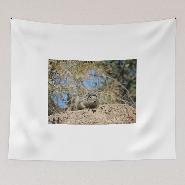 Item preview, Rock squirrel (Otospermophilus variegatus) in Arizona, USA designed and sold by SDym Photography.