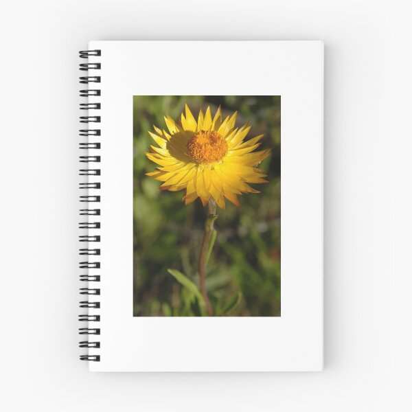 Item preview, Everlasting Daisy designed and sold by quentinjlang.