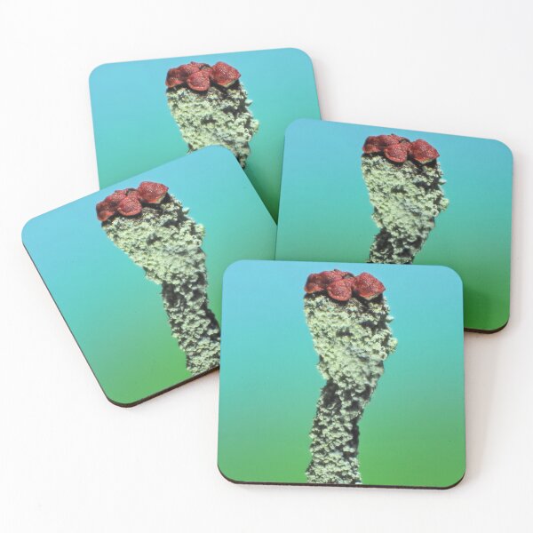 Item preview, Cladonia lichen under the microscope designed and sold by SDym Photography.