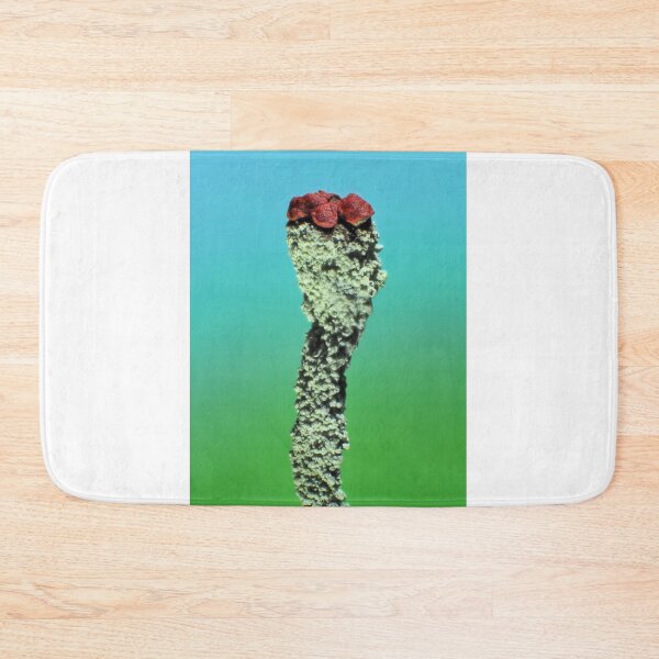 Item preview, Cladonia lichen under the microscope designed and sold by SDym Photography.