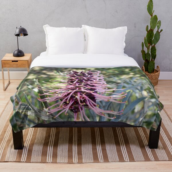 Artikelvorschau, Spinnenblume tiefviolettes Grevillea entworfen und verkauft von Mark Grimsley.