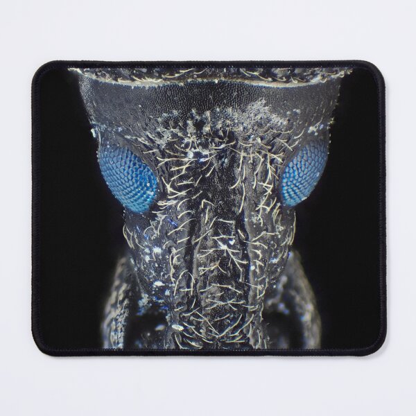 Item preview, Weevil beetle under the microscope designed and sold by SDym Photography.