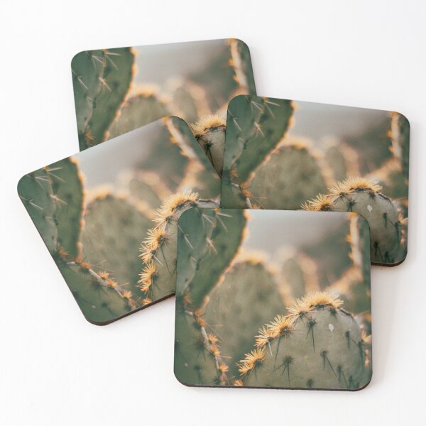 Item preview, sun kiss cactus designed and sold by photosynthesisk.