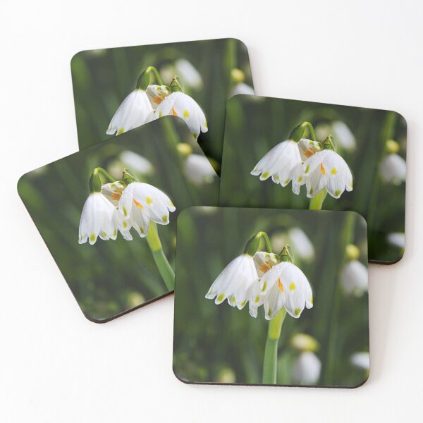 Item preview, Snowdrop Flowers White And Gathering designed and sold by Joy Watson - Natural Light Photography .