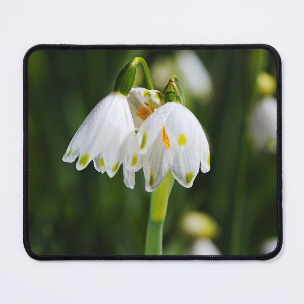 Item preview, Snowdrop Flowers White And Gathering designed and sold by Joy Watson - Natural Light Photography .