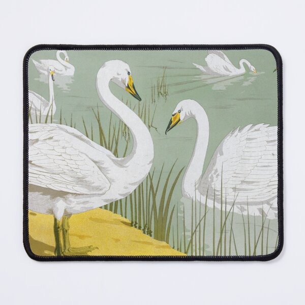 Item preview, Cygne sauvage 1897 designed and sold by fleurdesignart.