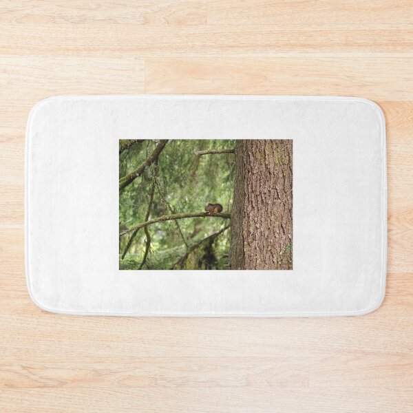 Item preview, Douglas squirrel (Tamiasciurus douglasii) designed and sold by SDym Photography.