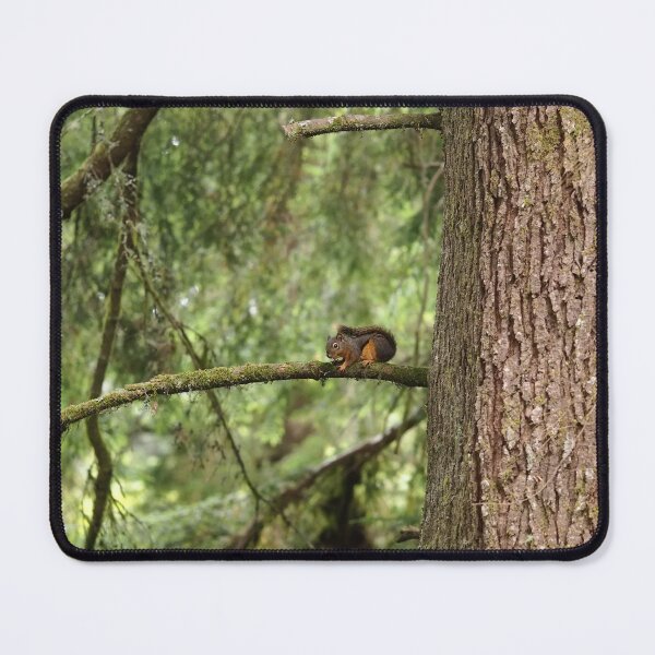 Item preview, Douglas squirrel (Tamiasciurus douglasii) designed and sold by SDym Photography.