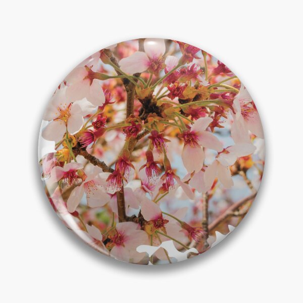 Item preview, Cherry Blossoms South Korea Map designed and sold by elixandre.