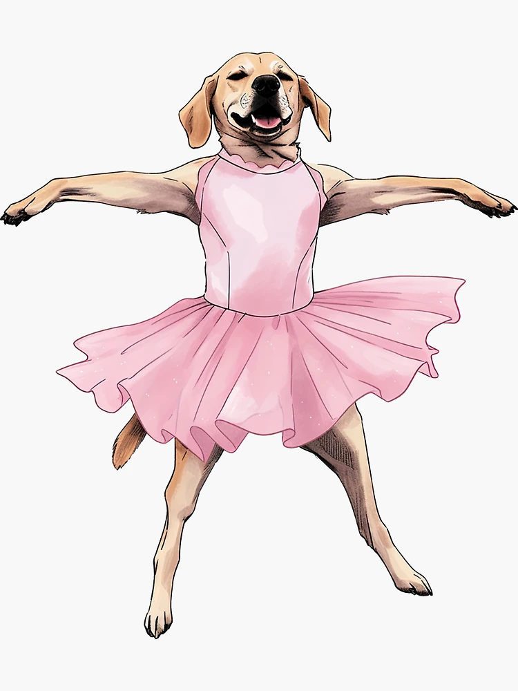 Dog ballerina clearance costume