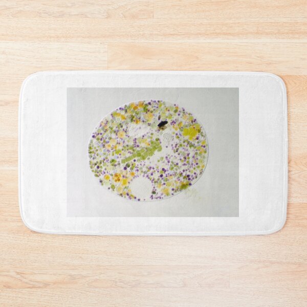Item preview, Nassulid ciliate - an unicellular ciliate that feeds on filamentous blue-green algae designed and sold by SDym Photography.