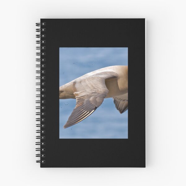 Item preview, Light-mantled Sooty Albatross 	 	 designed and sold by hqvhgwtr84.