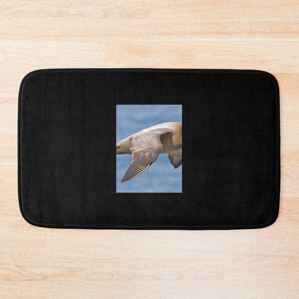Item preview, Light-mantled Sooty Albatross 	 	 designed and sold by hqvhgwtr84.