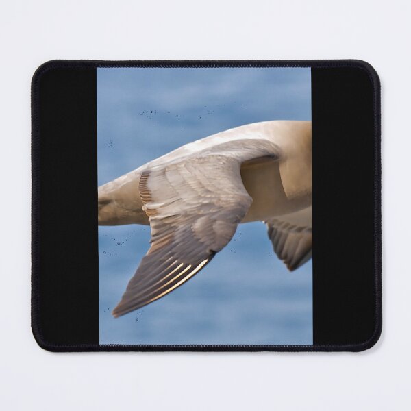 Item preview, Light-mantled Sooty Albatross 	 	 designed and sold by hqvhgwtr84.