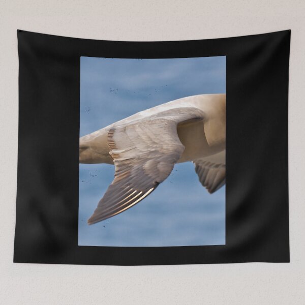 Item preview, Light-mantled Sooty Albatross 	 	 designed and sold by hqvhgwtr84.