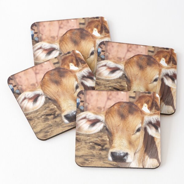 Item preview, Calf at a cattle post in Botswana designed and sold by MJPArtworks.