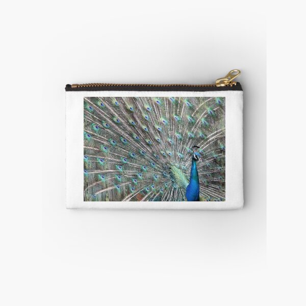 Item preview, Feathers designed and sold by SuddenJim.