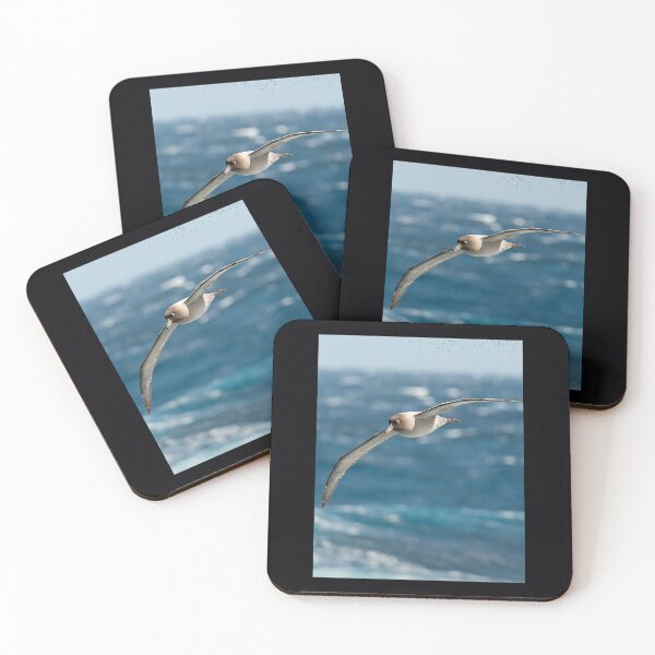 Item preview, Light-mantled sooty albatross 	 	 designed and sold by hqvhgwtr84.