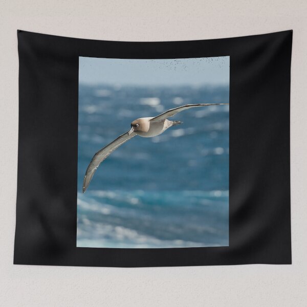 Item preview, Light-mantled sooty albatross 	 	 designed and sold by hqvhgwtr84.