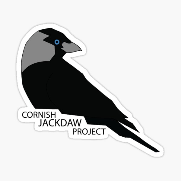 Artikel-Vorschau von Cornish Jackdaw-Projekt, designt und verkauft von GeorgeGriffi.