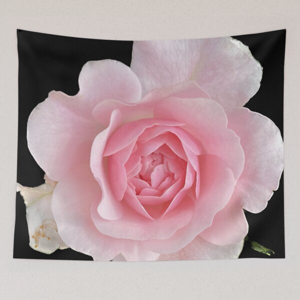 Item preview, Pink Rose designed and sold by LifeSpice.