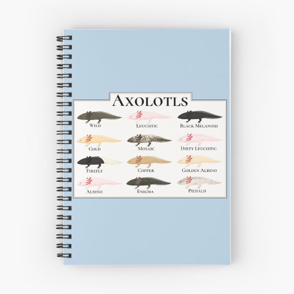 Item preview, All the Axolotls designed and sold by Charloote.