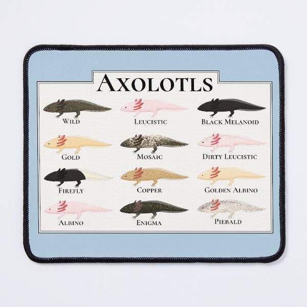 Item preview, All the Axolotls designed and sold by Charloote.