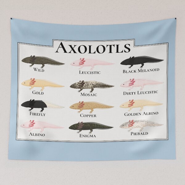 Item preview, All the Axolotls designed and sold by Charloote.