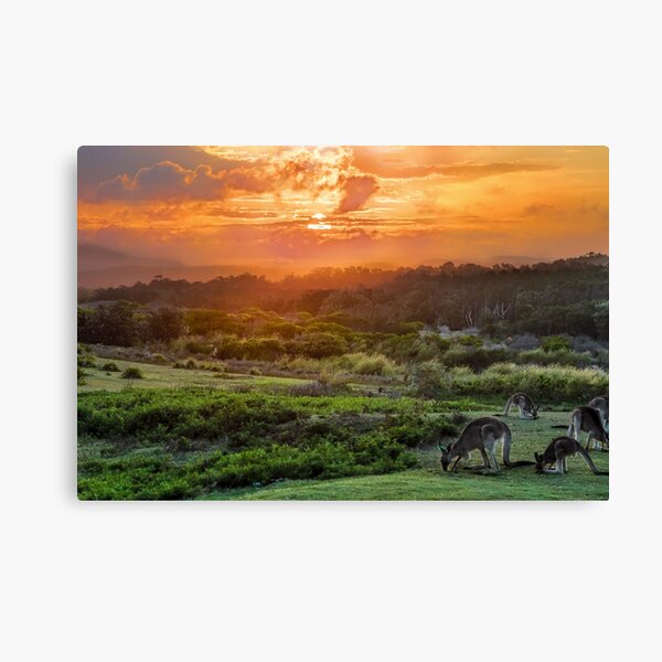 Item preview, Look At Me Now Headland - Emerald Beach designed and sold by Normf.