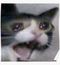 42+ Teary Eyed Crying Cat Meme Png