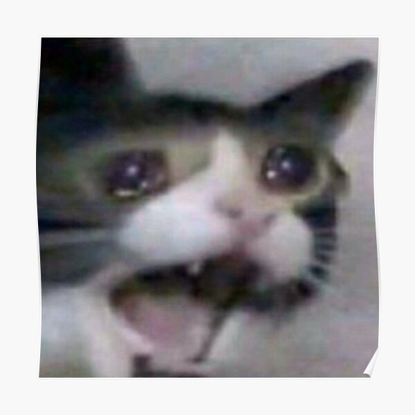 Crying Cat Meme Drawception