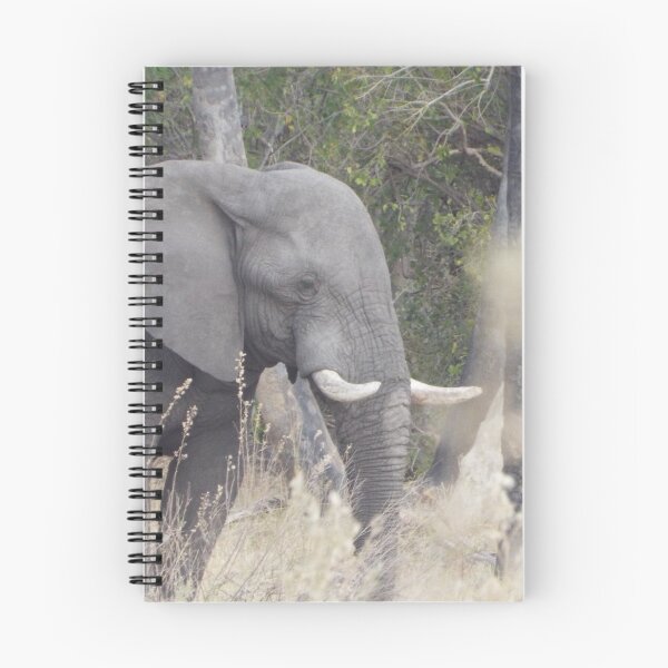 Item preview, Elephant boy club designed and sold by MJPArtworks.