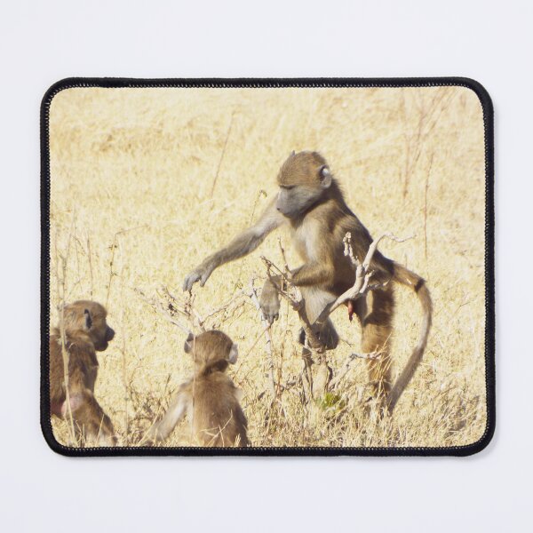 Item preview, Young Baboons playing designed and sold by MJPArtworks.