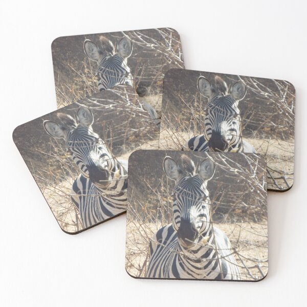 Item preview, Zebra designed and sold by MJPArtworks.