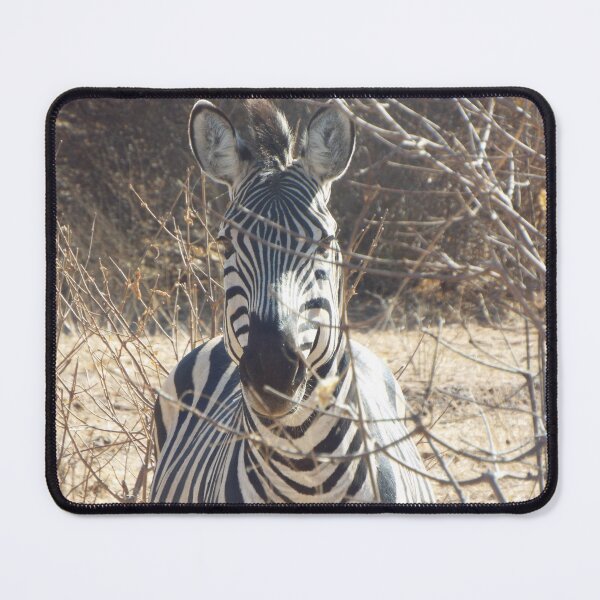 Item preview, Zebra designed and sold by MJPArtworks.