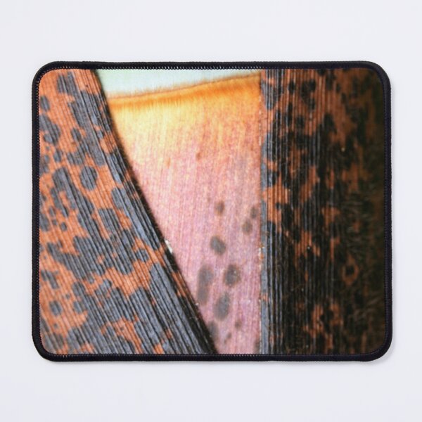 Item preview, uncovering designed and sold by yvesrossetti.