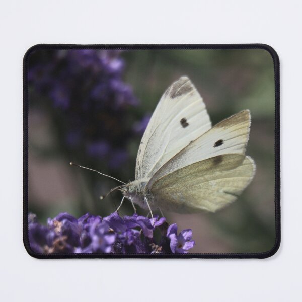 Item preview, Small White butterfly (piers rupae) designed and sold by Bird22Shot.