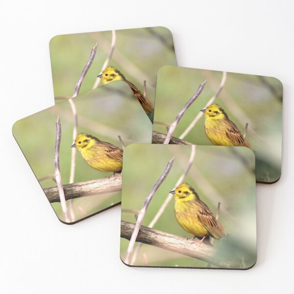 Item preview, Yellowhammer (Emberitza citrinella) bird designed and sold by Bird22Shot.