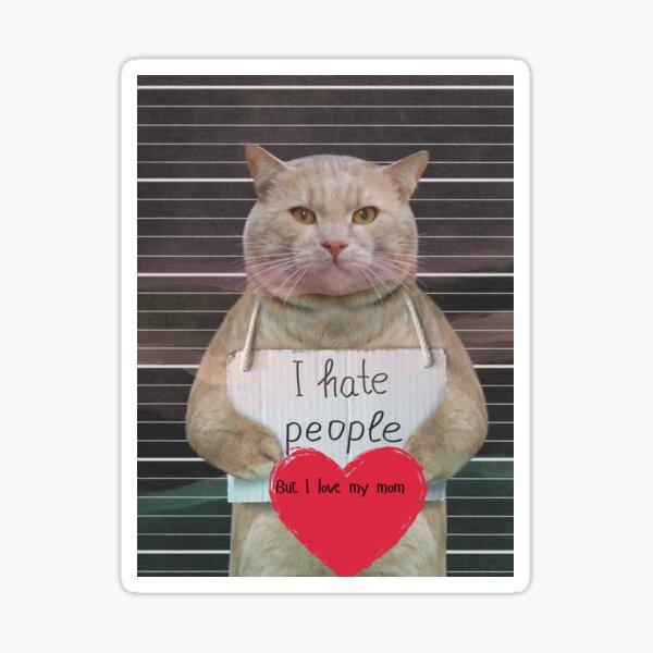 Thanks, I Hate It Funny Cat Sticker Cat Stickers Depressing Stickers Cute  Cat Gift Silly Cat Stickers Ridiculous Stickers 