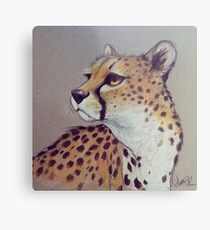 Spots Metal Print