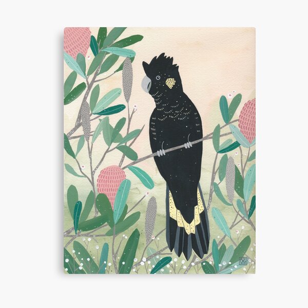 Australian Native Bird Wall Art Redbubble