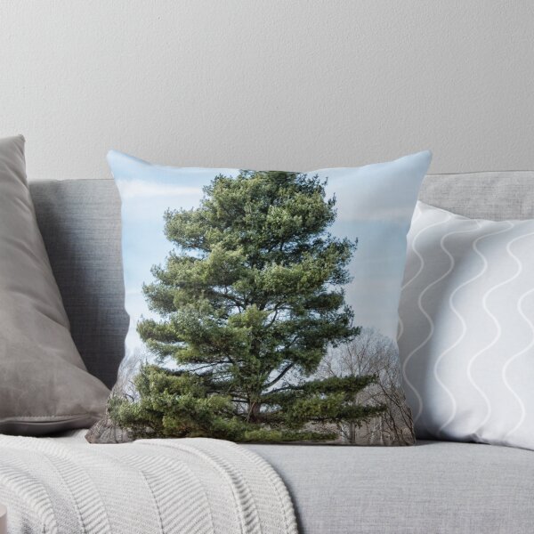 Item preview, early spring pine designed and sold by g richard anderson.