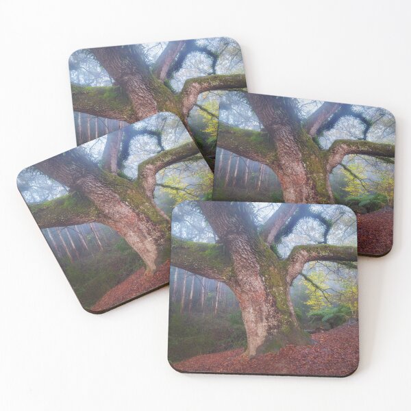Item preview, Whispers of Time designed and sold by BFPHOTO.